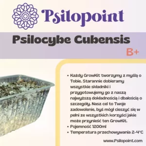 GrowKit Psilocybe Cubensis B+ 1200ml