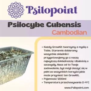 GrowKit Psilocybe Cubensis Cambodian 1200ml