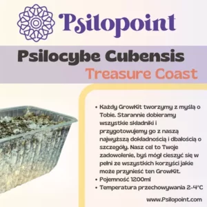 GrowKit Psilocybe Cubensis Treasure Coast 1200ml
