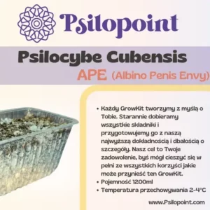 GrowKit Psilocybe Cubensis APE (Albino Penis Envy)1200ml
